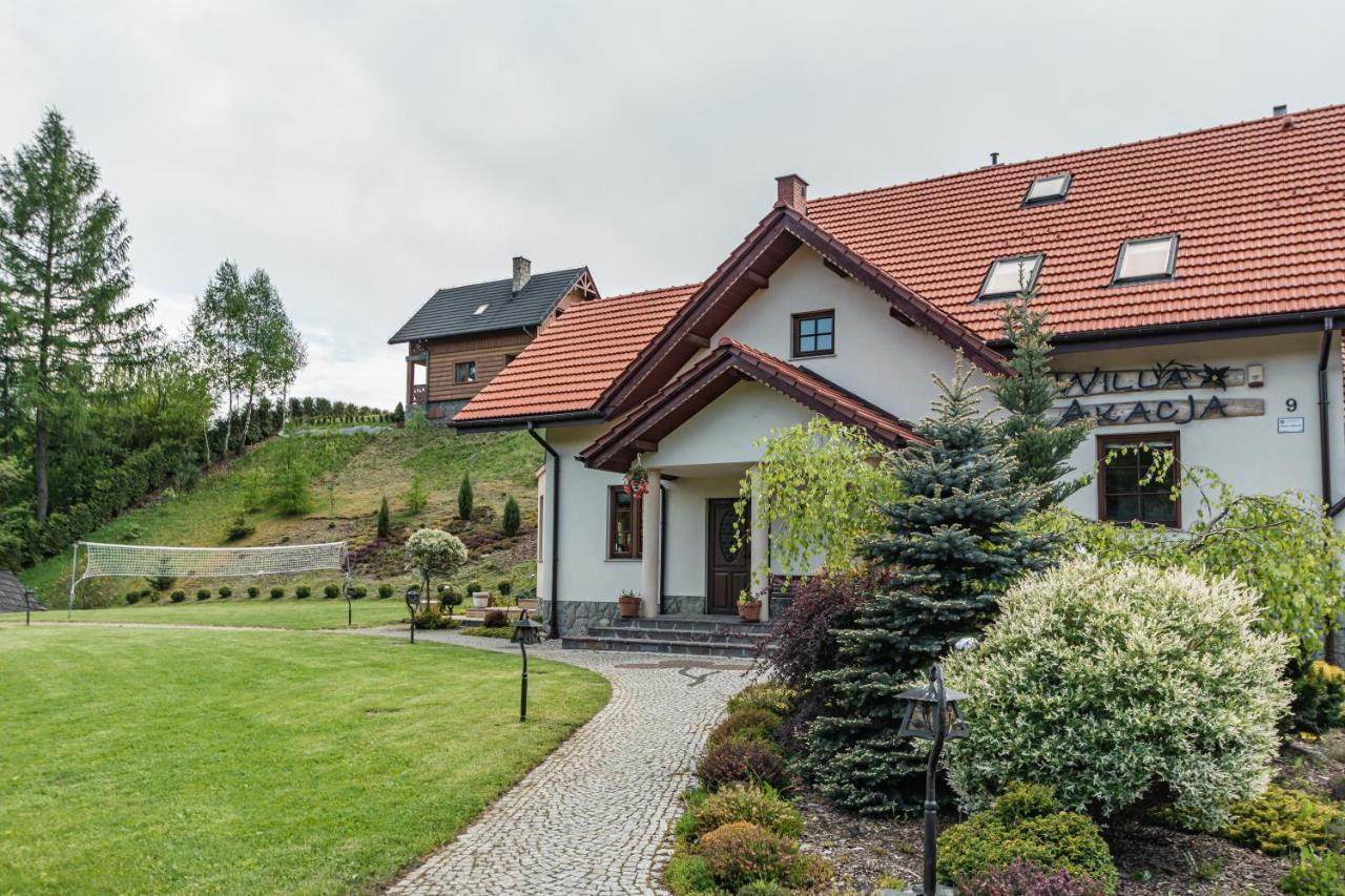 Osada Pieninska Apartment Kroscienko nad Dunajcem Luaran gambar