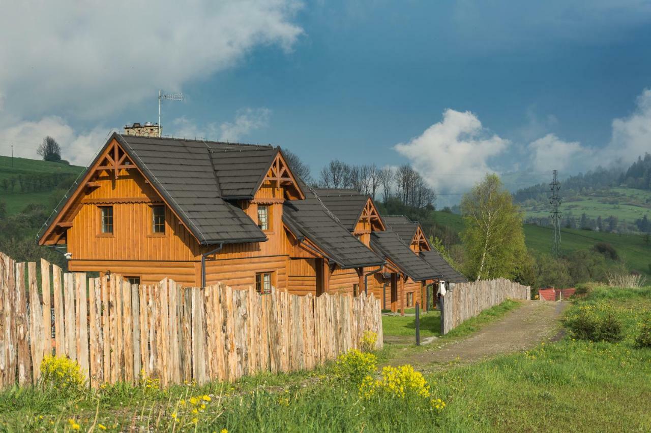 Osada Pieninska Apartment Kroscienko nad Dunajcem Luaran gambar